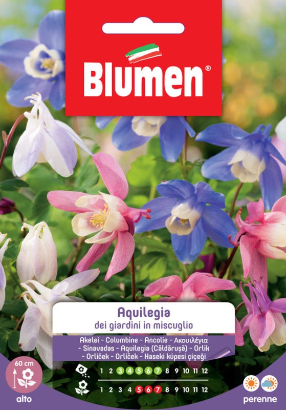 Blumen - Semi - Aquilegia - Giardini - Miscuglio - Busta