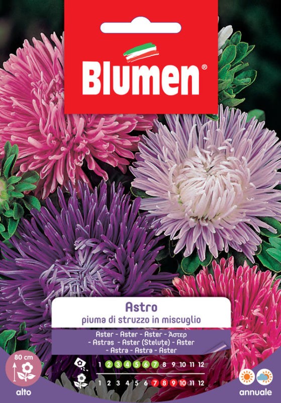 Semi Astro piuma di struzzo in miscuglio Blumen