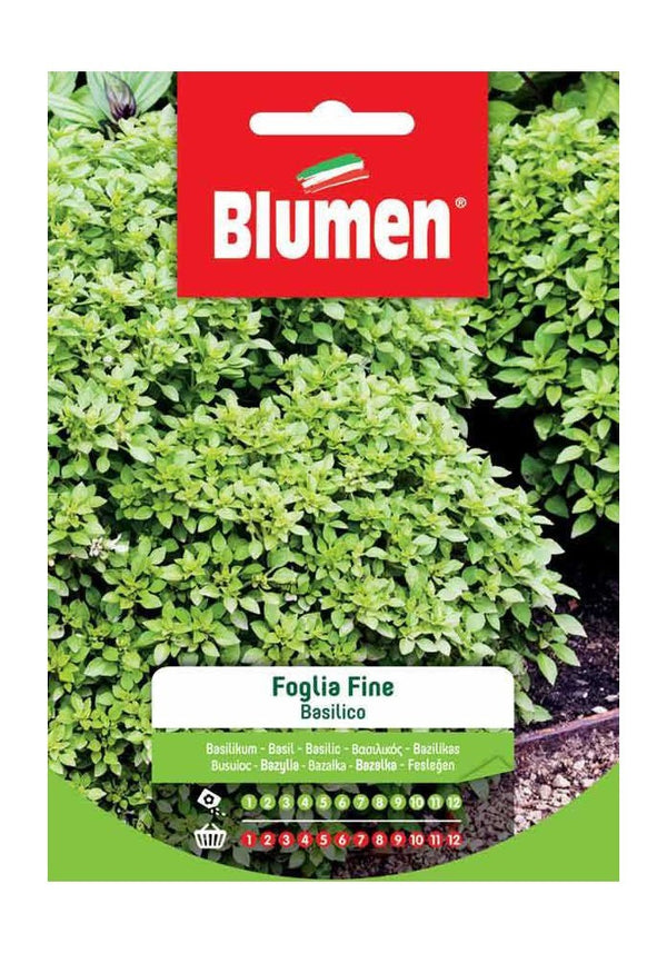 Semi Basilico foglia fine Blumen