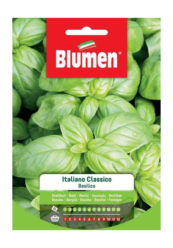 Semi Basilico italiano classico Blumen