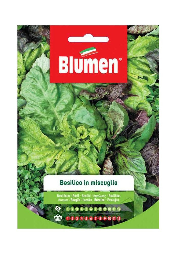 Blumen - Semi - Basilico - Miscuglio - Busta
