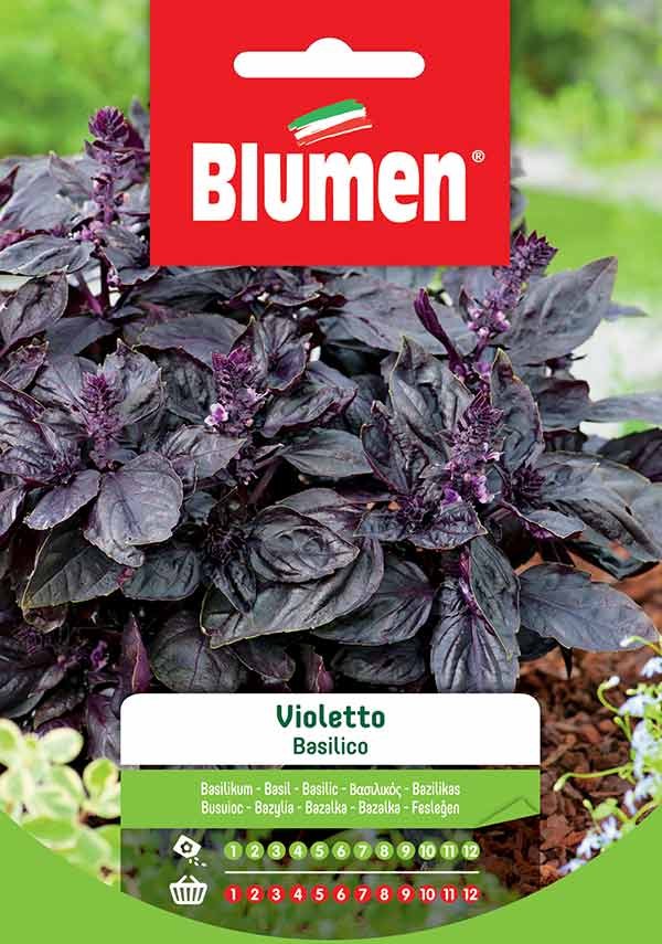 Blumen - Semi - Basilico - Violetto - Busta