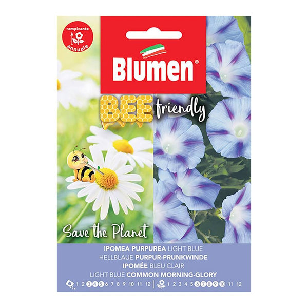 Semi Bee friendly Ipomea purpurea light blue Blumen