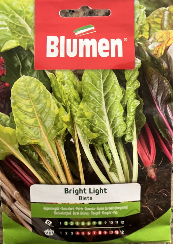 Semi Bieta bright light Blumen