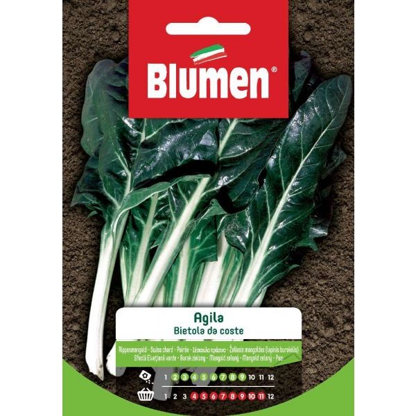 Semi Bietola da coste Agila Blumen
