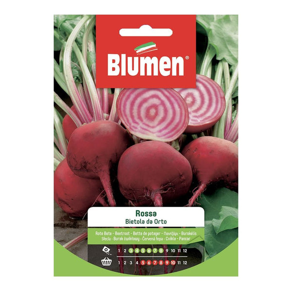 Semi Bietola da orto rossa Blumen