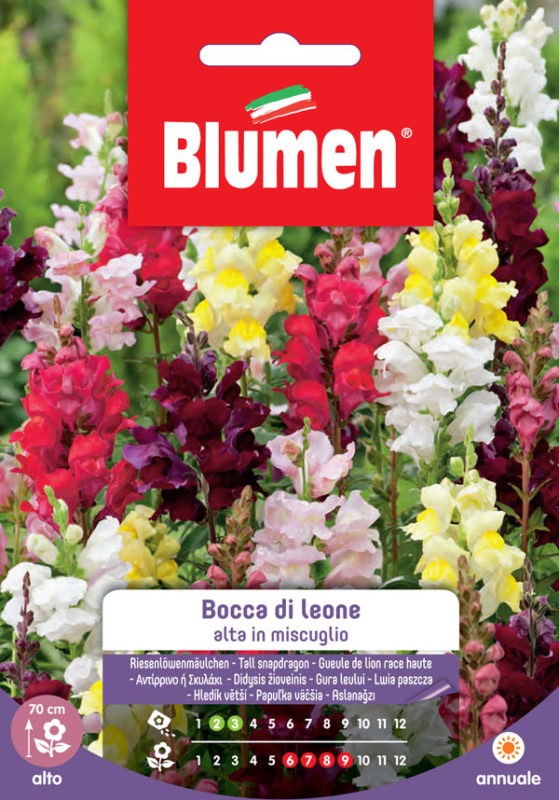 Semi Bocca di leone alta in miscuglio Blumen