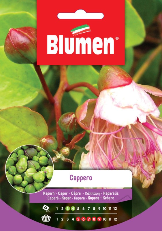 Blumen - Semi - Cappero - Busta
