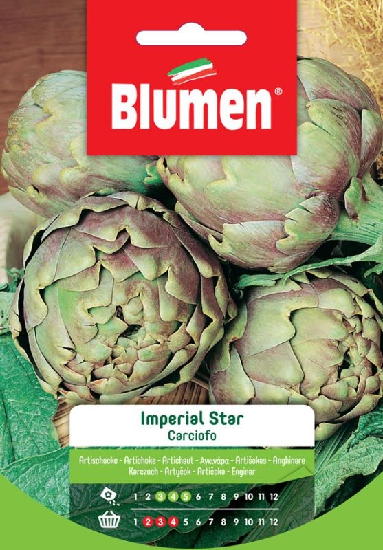 Blumen - Semi - Carciofo - Imperial - Star - Busta
