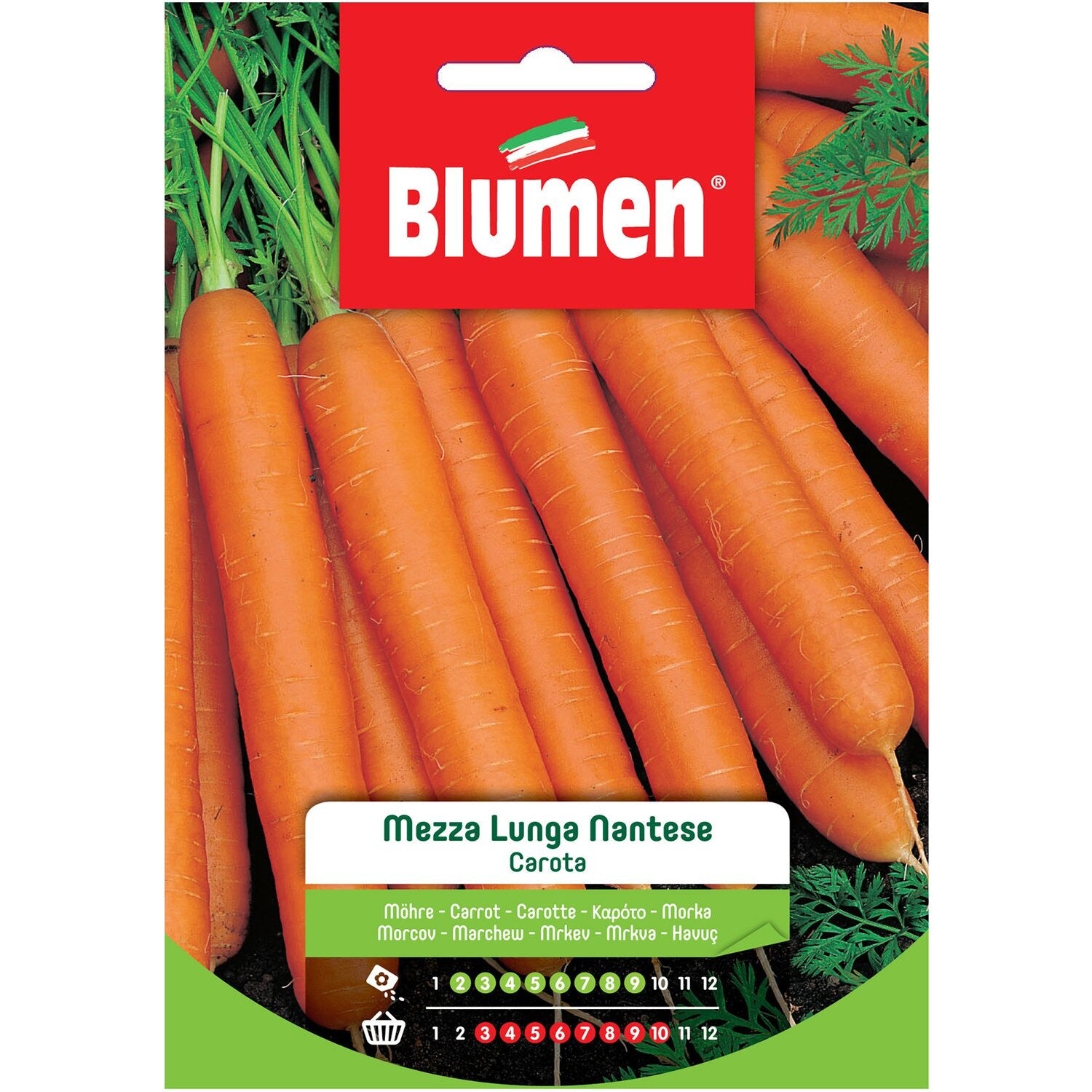 Semi Carota mezza lunga Nantese Blumen