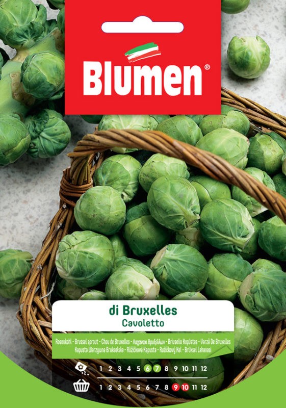 Blumen - Semi - Cavoletto - Bruxelles - Busta