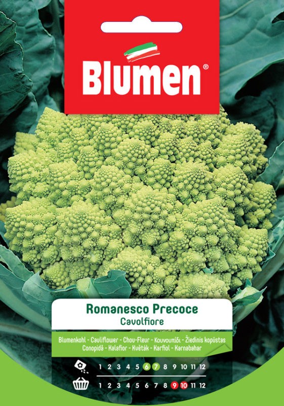 Semi Cavolfiore romanesco precoce Blumen