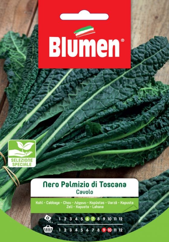 Blumen - Semi - Cavolo - Nero - Palmizio - Toscana - Busta