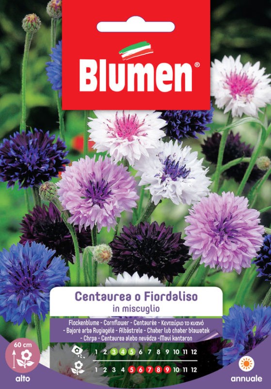 Blumen - Semi - Centaurea - Fiordaliso - in Miscuglio - Busta