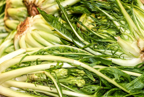 Semi Cicoria Catalogna pugliese Blumen