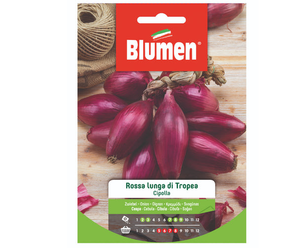 Semi Cipolla rossa lunga di Tropea Blumen