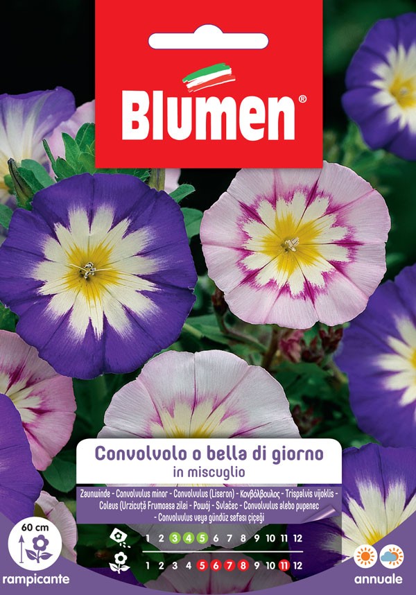 Blumen - Semi - Convolvolo - Bella - Di - Giorno - Miscuglio - Busta