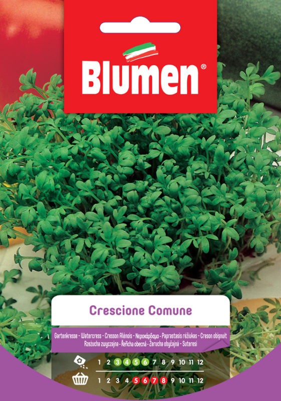 Semi Crescione comune Blumen