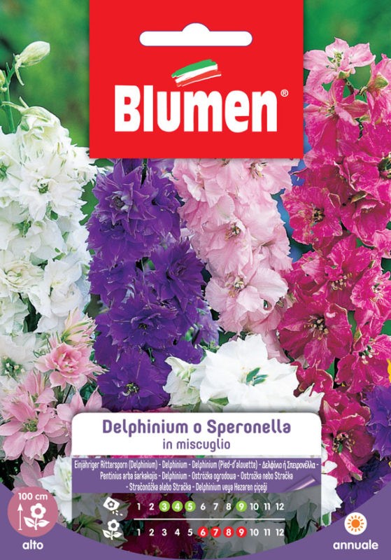 Blumen - Semi - Delphinium - Speronella - Miscuglio - Busta
