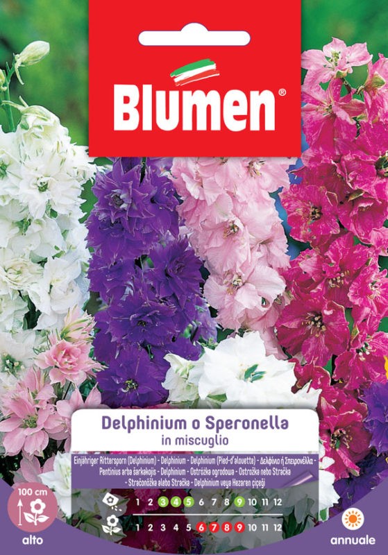 Semi Delphinium speronella in miscuglio Blumen