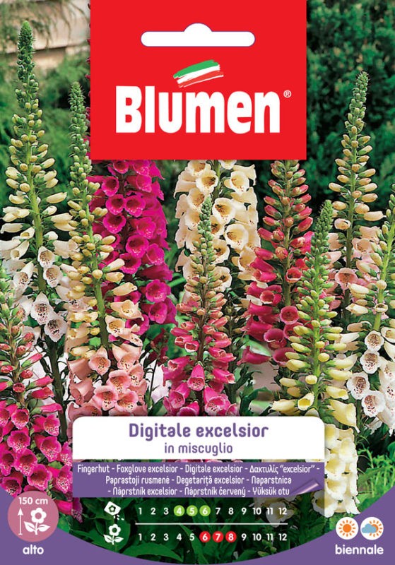Semi Digitale excelsior in miscuglio Blumen