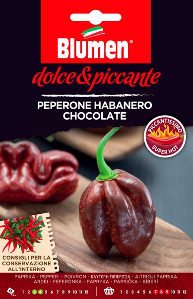 Semi Peperone piccante Habanero chocolate Blumen