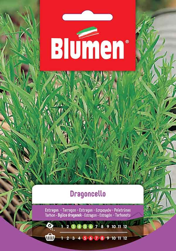 Semi Dragoncello Blumen