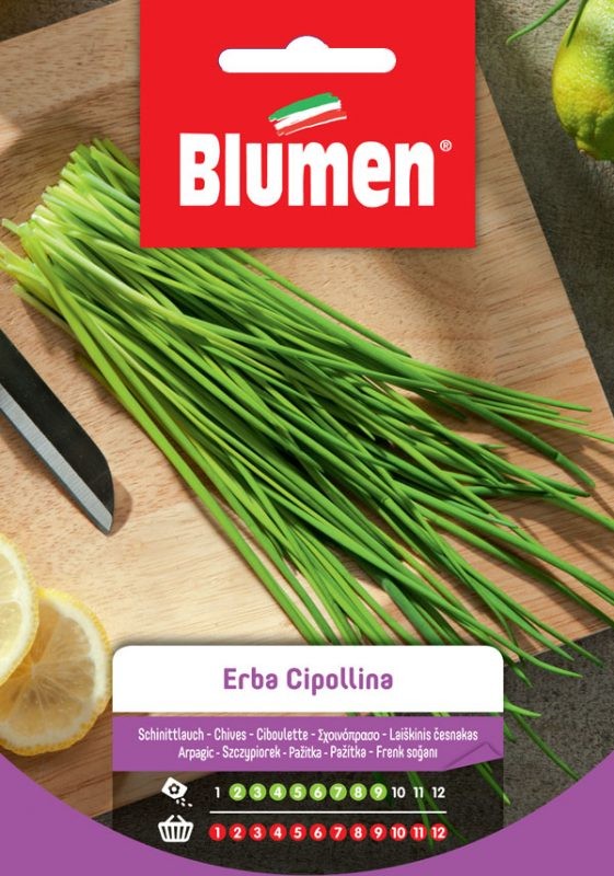 Semi Erba cipollina Blumen