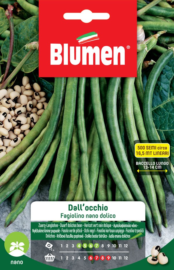 Semi Fagiolino nano dolico dall'occhio Blumen