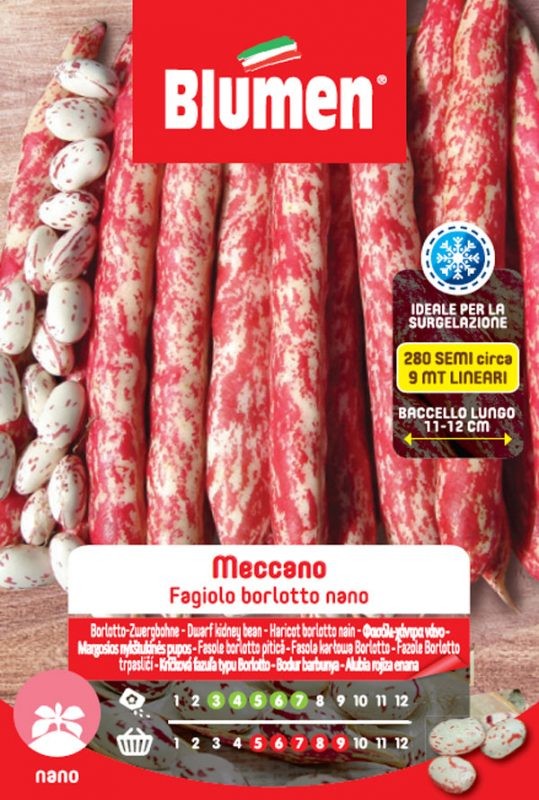 Semi Fagiolo borlotto nano Meccano Blumen