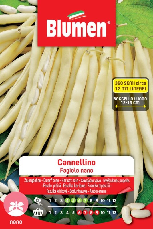 Semi Fagiolo nano cannellini Blumen