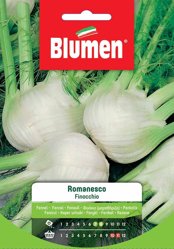 Semi Finocchio romanesco Blumen