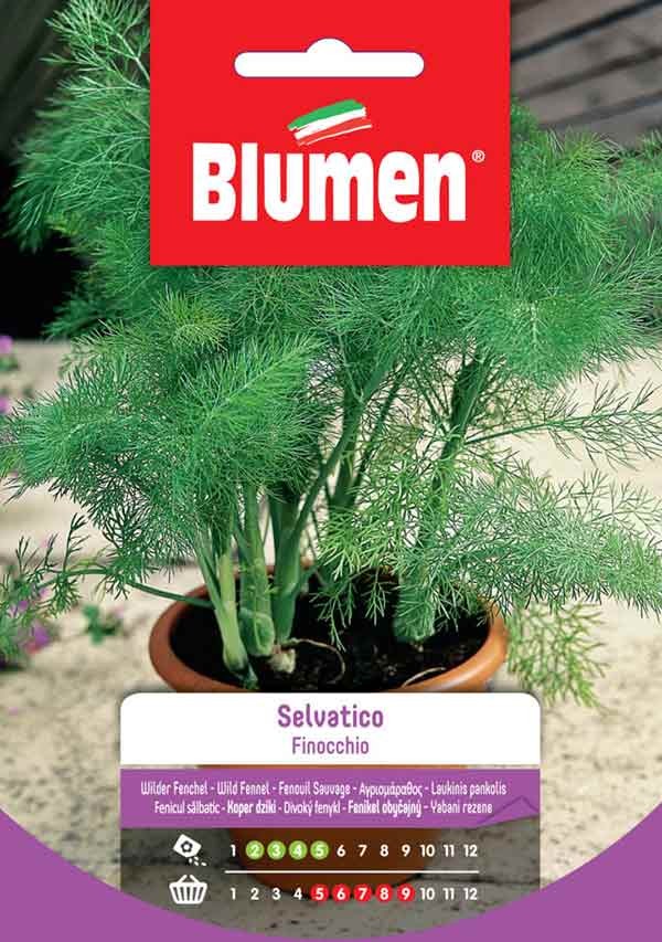 Semi Finocchio selvatico Blumen