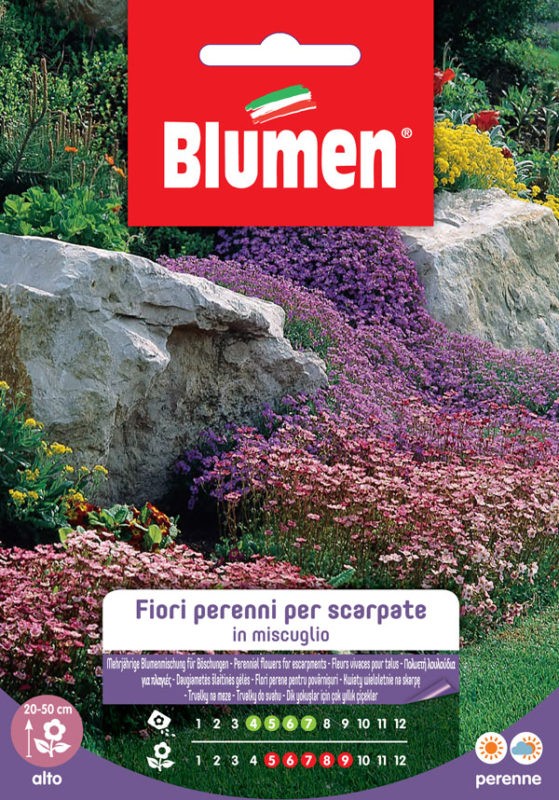 Semi Fiori perenni per scarpate in miscuglio Blumen