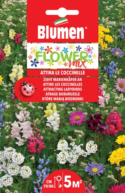 Semi Flower mix attira coccinelle Blumen