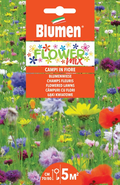 Semi Flower mix campi in fiore Blumen