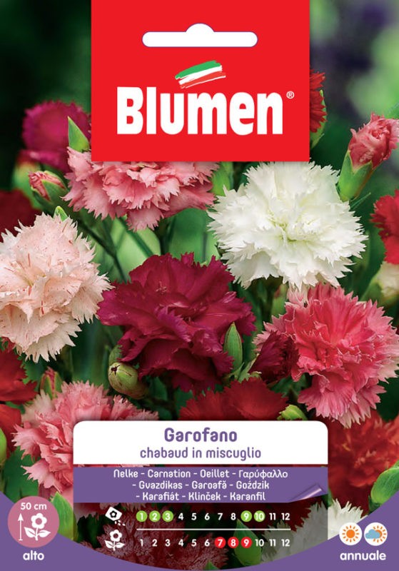 Blumen - Semi - Garofano - Chabaud - in Miscuglio - Busta
