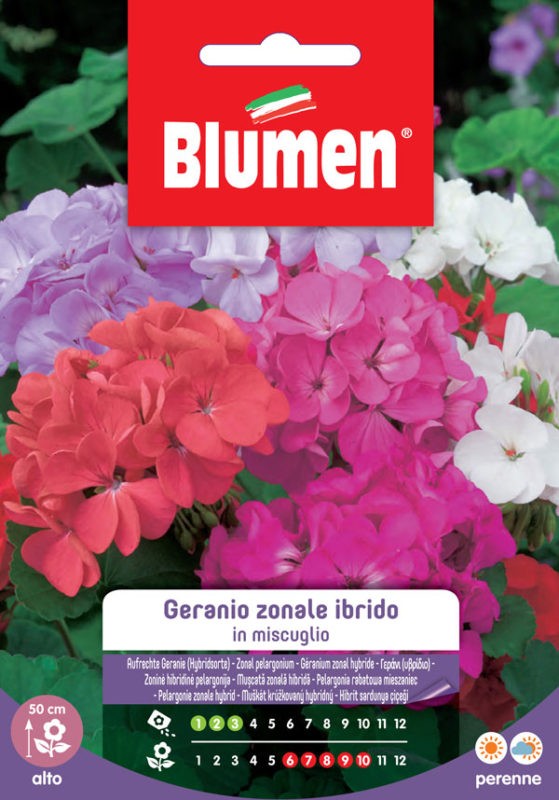Blumen - Semi - Geranio - Zonale - Ibrido - F2 - in Miscuglio - Busta