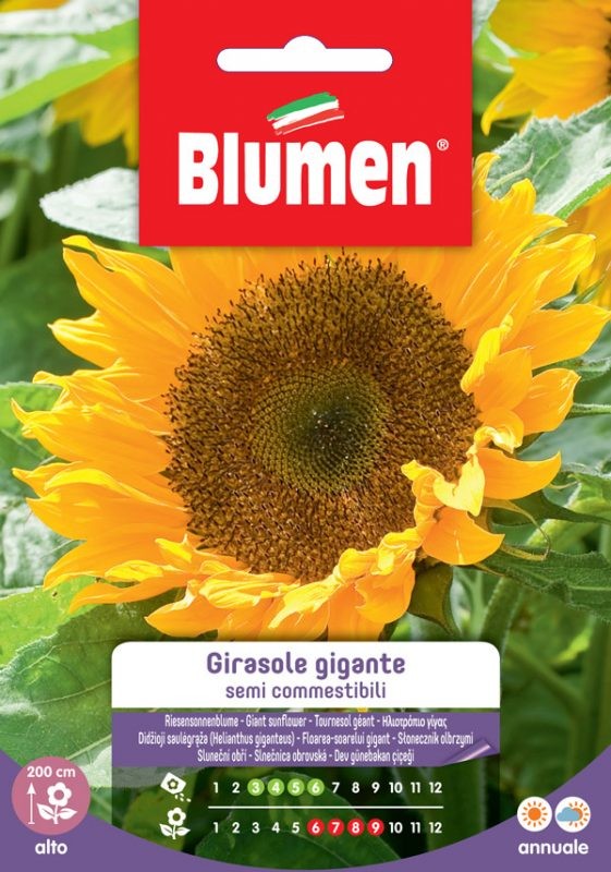 Semi Girasole gigante semi commestibili Blumen