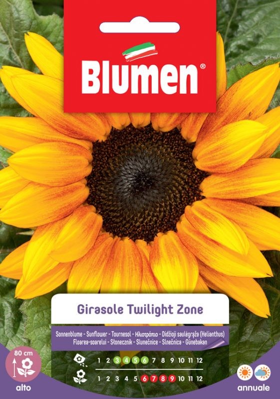 Semi Girasole Twilight zone Blumen