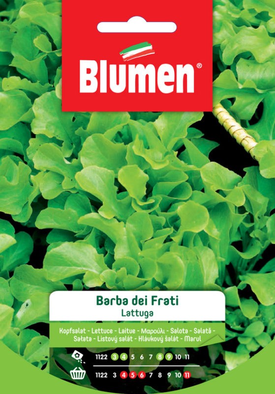 Semi Lattuga barba dei Frati Blumen