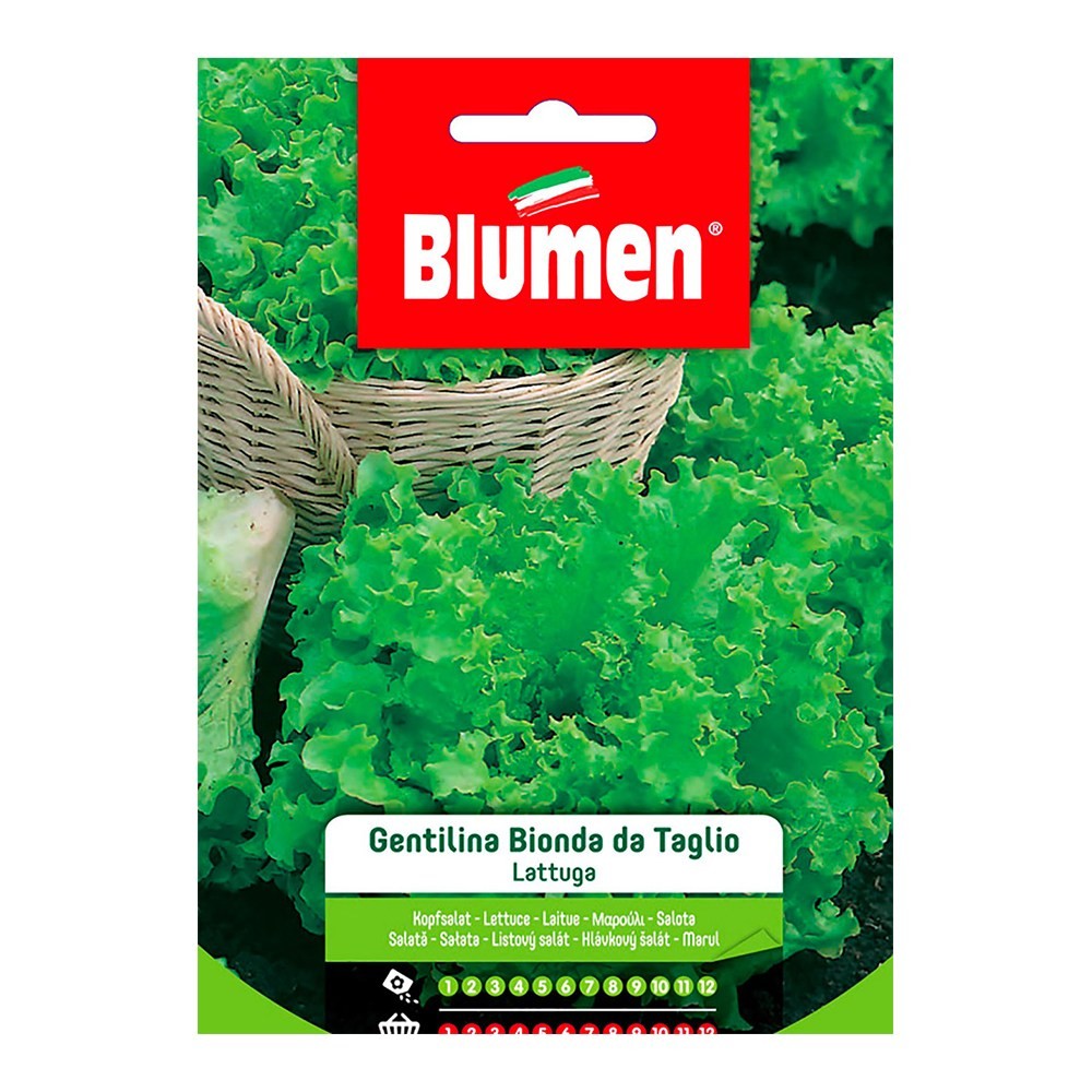 Blumen - Semi - Lattuga - Gentilina - Verde - Busta