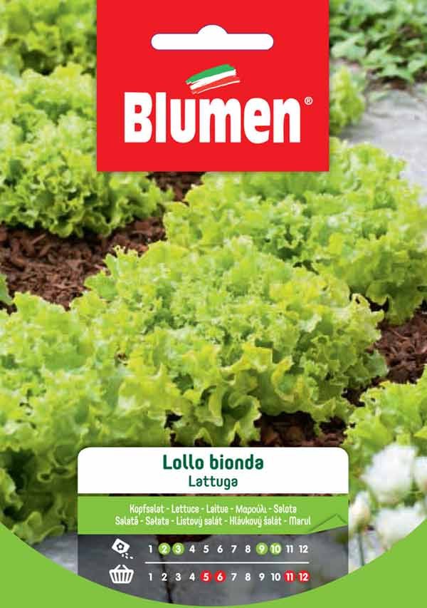 Blumen - Semi - Lattuga - Lollo - Bionda - Busta
