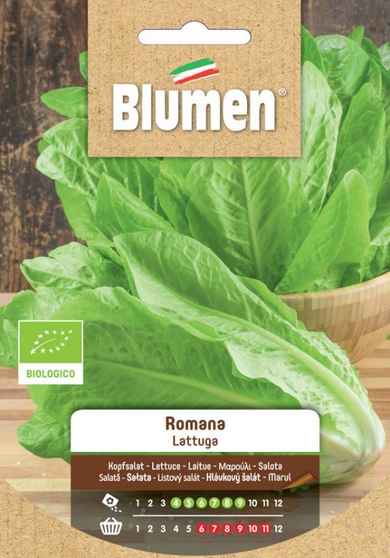 Semi Lattuga romana Blumen