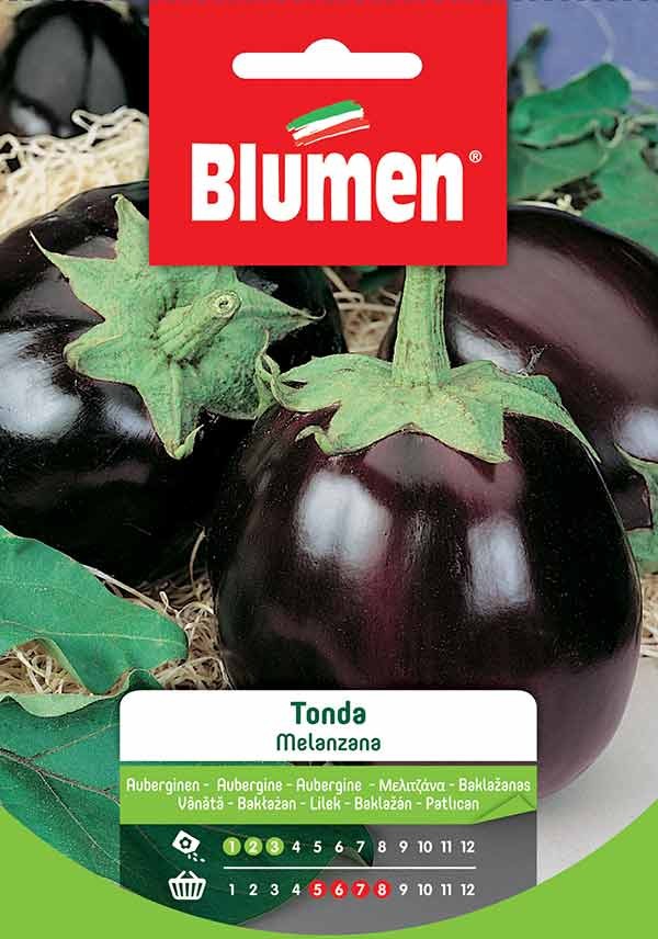 Semi Melanzana tonda Blumen