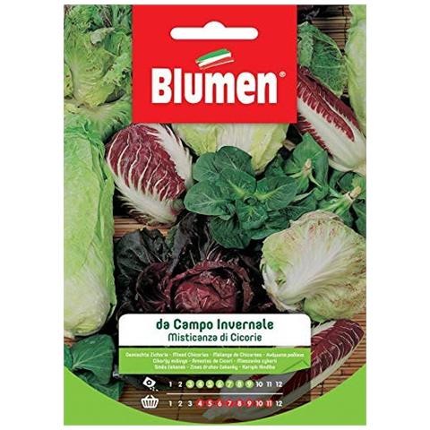 Blumen - Semi - Misticanza - Cicorie - Campo - Invernale - Busta