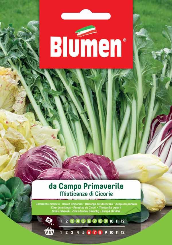 Blumen - Semi - Misticanza - Cicorie - Campo - Primaverile - Busta