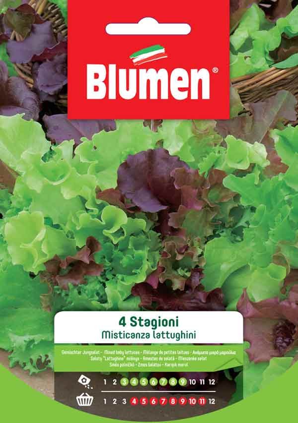 Blumen - Semi - Misticanza - Lattughini - 4 - Stagioni - Busta