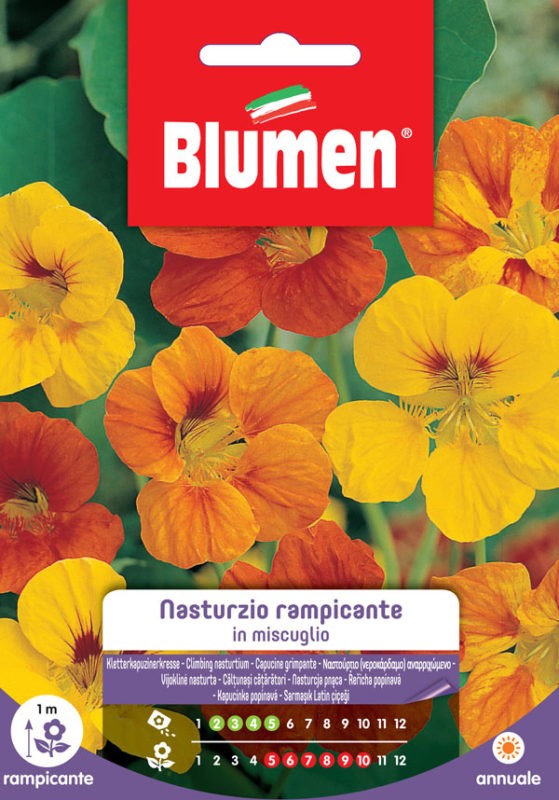 Blumen - Semi - Nasturzio - Rampicante - Miscuglio - Busta