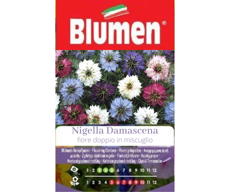 Blumen - Semi - Nigella - Damascena - Fiore - Doppio - In - Miscuglio - Busta